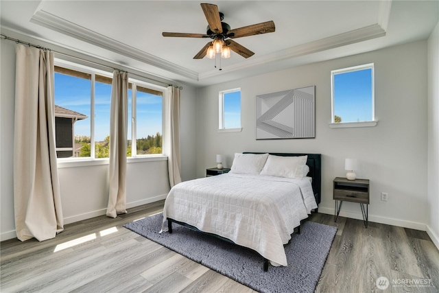 bedroom featuring ornamental molding and a raised ceiling