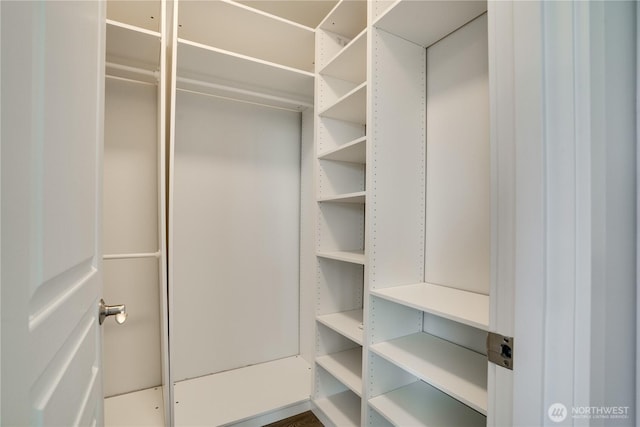 view of spacious closet