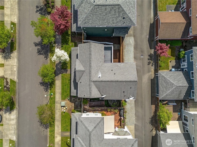 bird's eye view