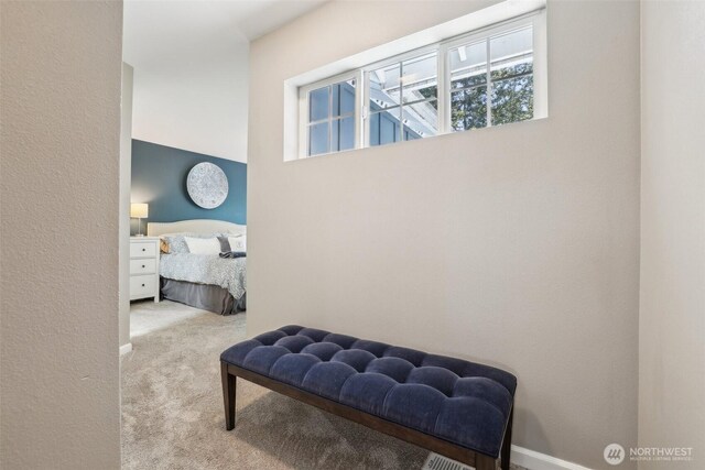 living area featuring carpet floors