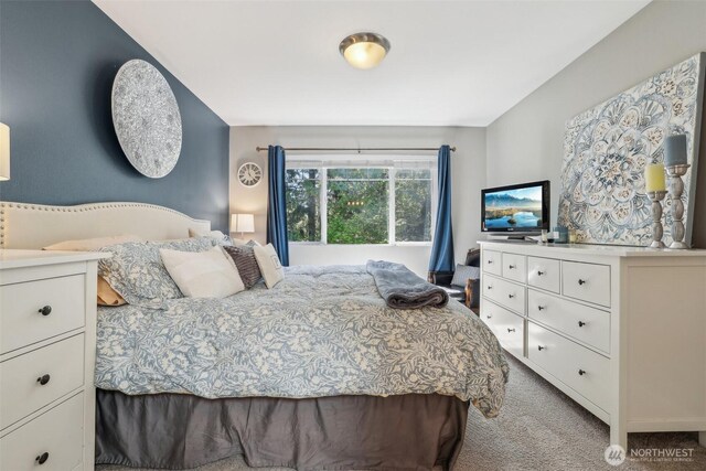 bedroom with carpet floors