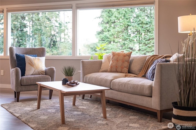 living room featuring baseboards and wood finished floors