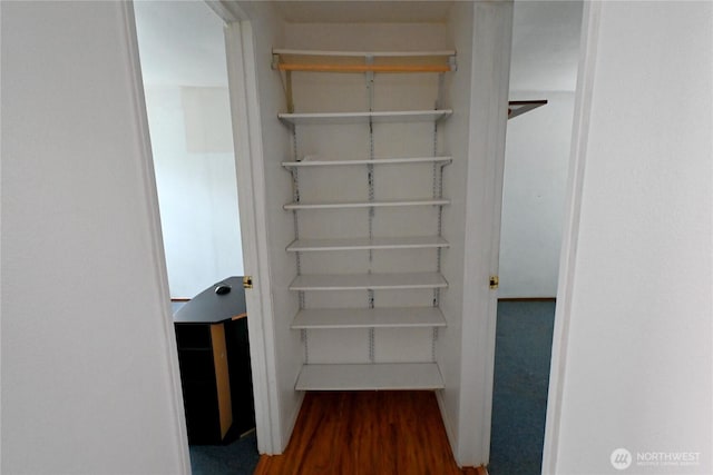 view of closet