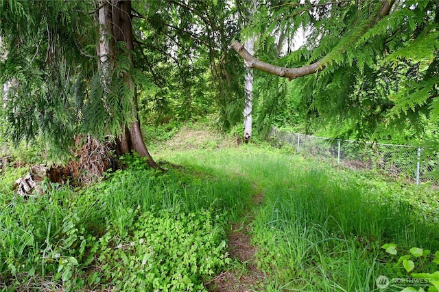 view of nature