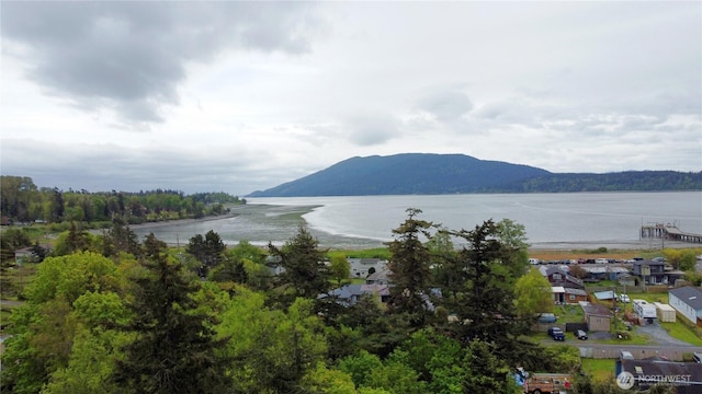 property view of water with a mountain view