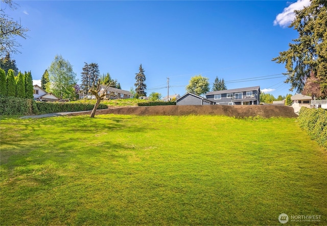view of yard