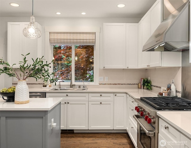 325 6th Ave S, Kirkland, WA 98033 - kitchen featuring under cabinet range hood, stainless steel appliances, recessed lighting, and a sink