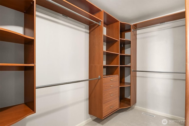 325 6th Ave S, Kirkland, WA 98033 - spacious closet with visible vents and light carpet
