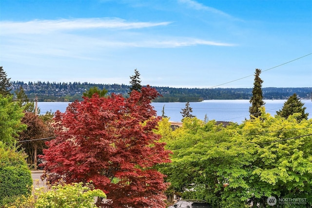 325 6th Ave S, Kirkland, WA 98033 - water view