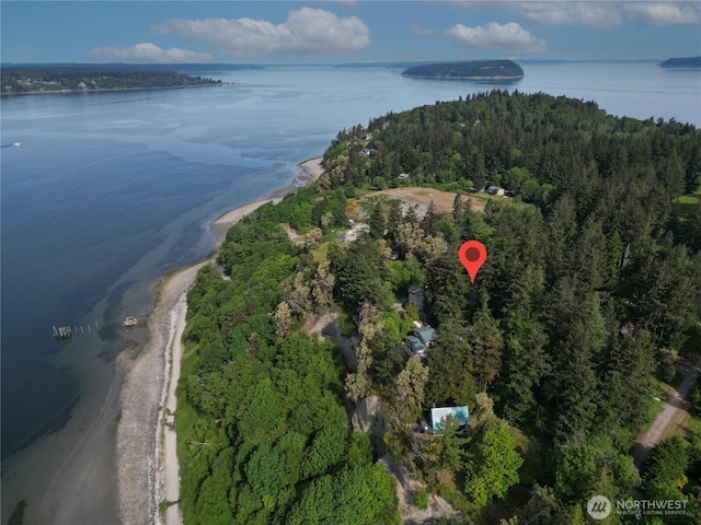 29 G Sound Pl, Hat Island, WA 98206 - photo 37