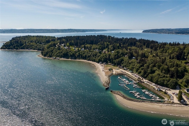 34A Saratoga Dr, Hat Island, WA 98206 - birds eye view of property with a water view and a view of trees