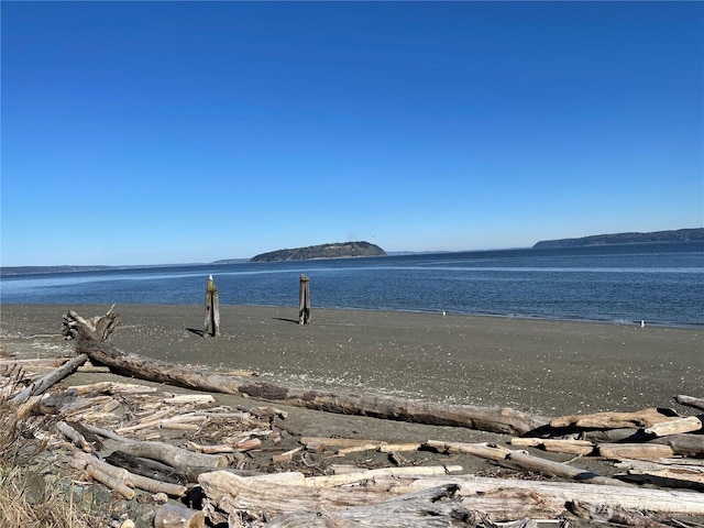 34A Saratoga Dr, Hat Island, WA 98206 - view of water feature