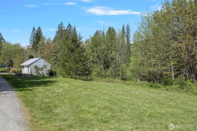 view of yard