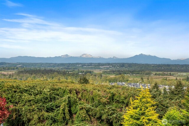 mountain view