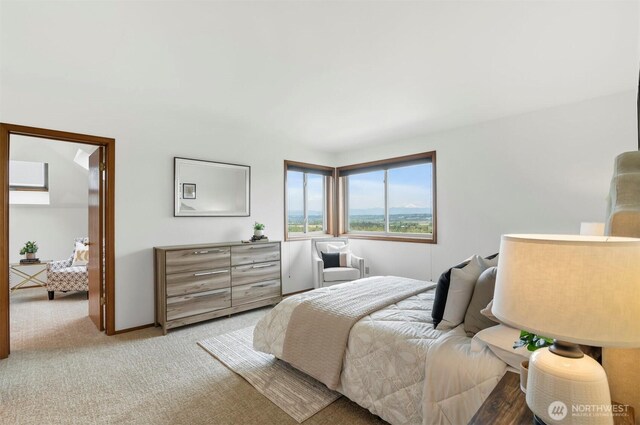 bedroom with light colored carpet