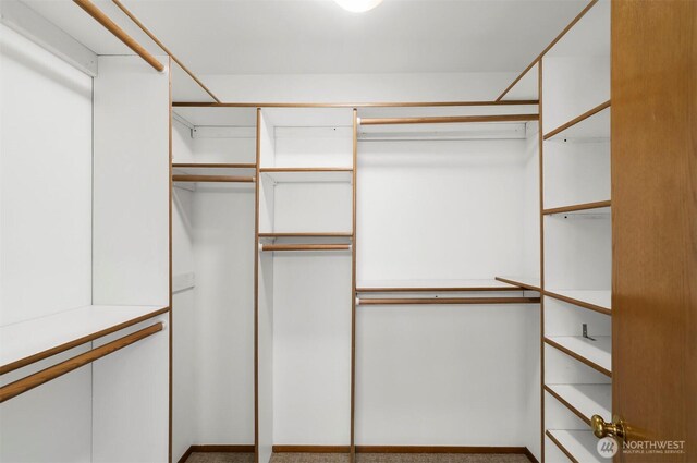 view of walk in closet
