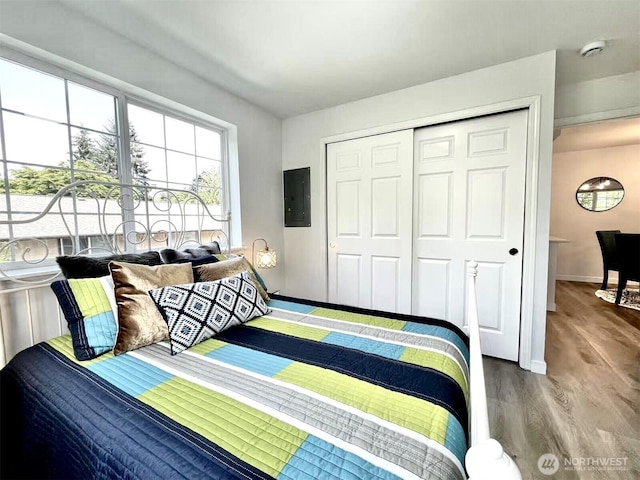 bedroom with electric panel, wood finished floors, baseboards, and a closet