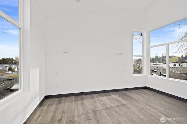 spare room featuring baseboards, a wealth of natural light, and wood finished floors