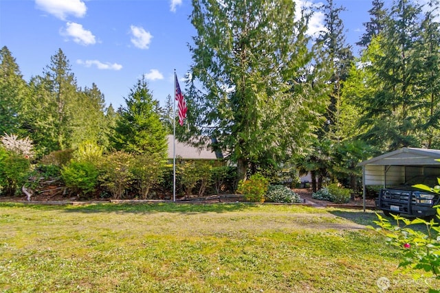 view of yard featuring a carport