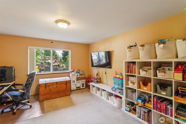 office featuring carpet flooring