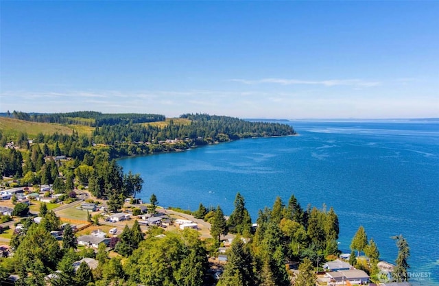 water view featuring a residential view