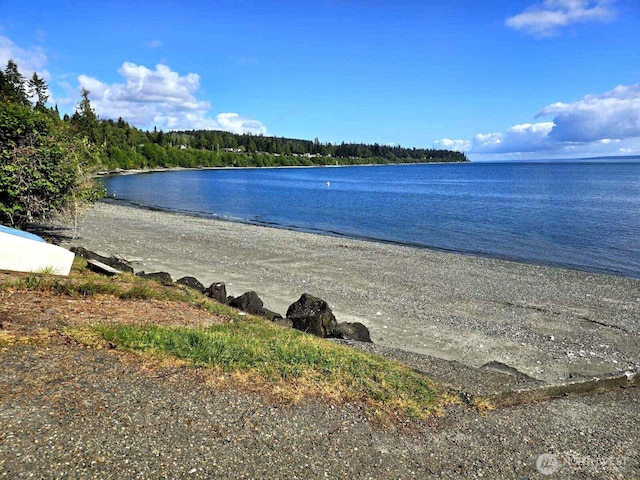 3863 Paradise Bay Rd, Port Ludlow, WA 98365 - water view