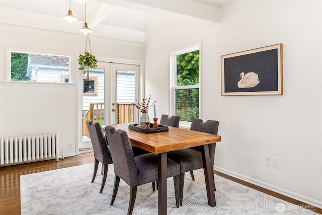 dining space with french doors, baseboards, radiator heating unit, and wood finished floors