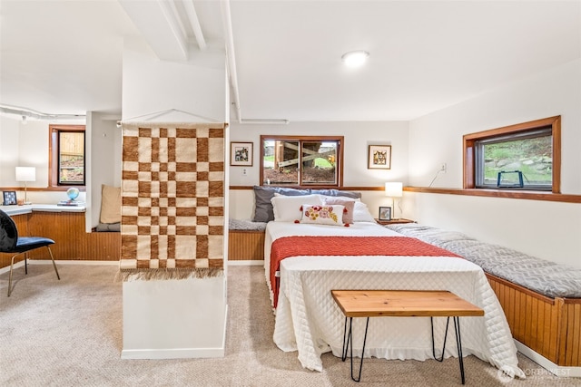 bedroom with carpet floors