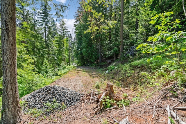 15889 Cedar Brae Rd, Leavenworth, WA 98826 - photo 5