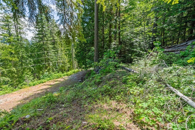 15889 Cedar Brae Rd, Leavenworth, WA 98826 - photo 6