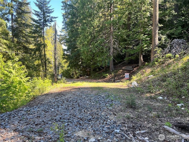 15889 Cedar Brae Rd, Leavenworth, WA 98826 - photo 3