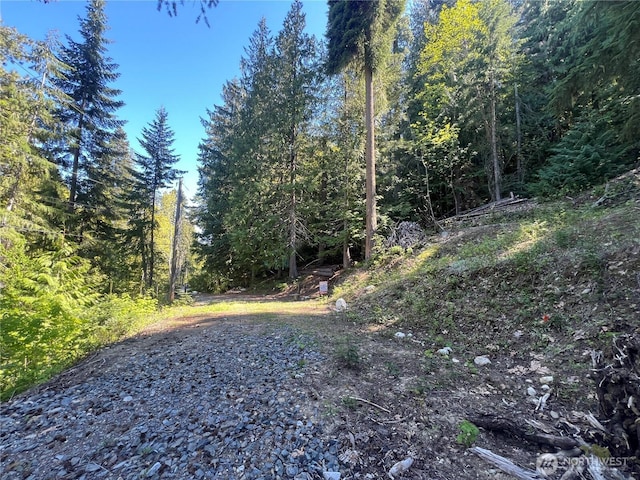 15889 Cedar Brae Rd, Leavenworth, WA 98826 - photo 4