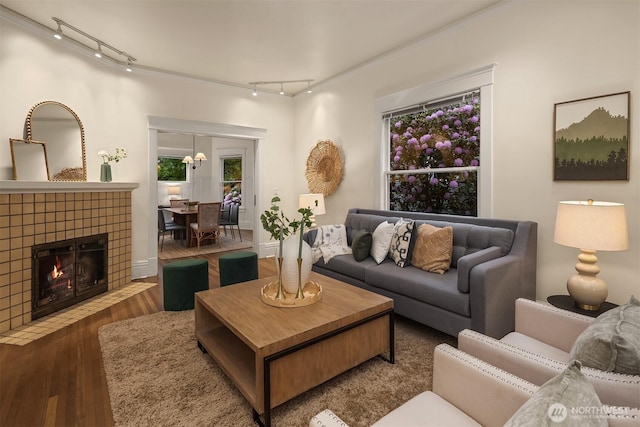 living area featuring track lighting, wood finished floors, and a fireplace