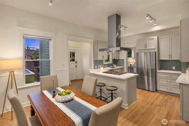 kitchen featuring stainless steel appliances, island range hood, a sink, and rail lighting