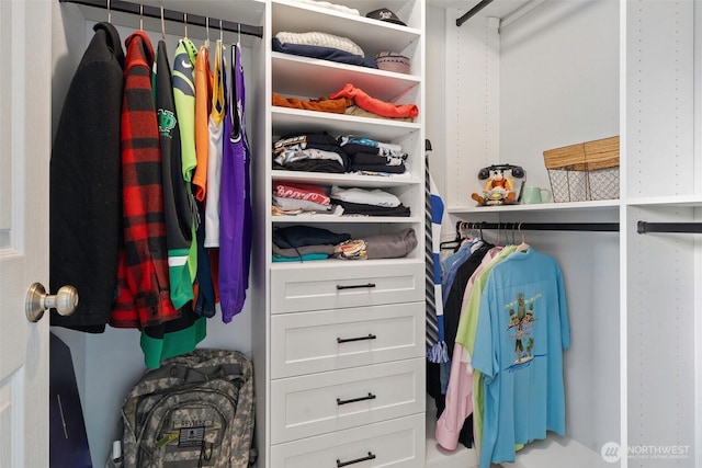 view of walk in closet