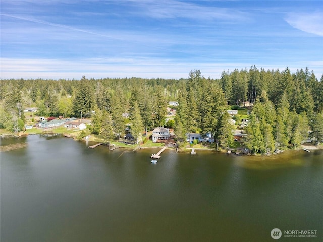 drone / aerial view with a water view and a view of trees