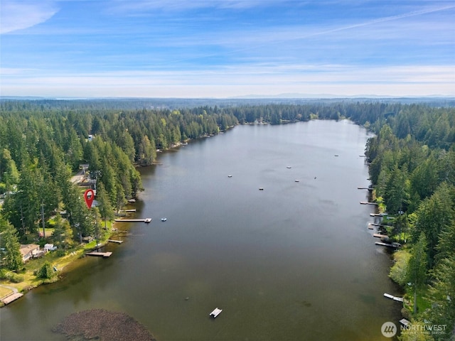 aerial view featuring a forest view and a water view