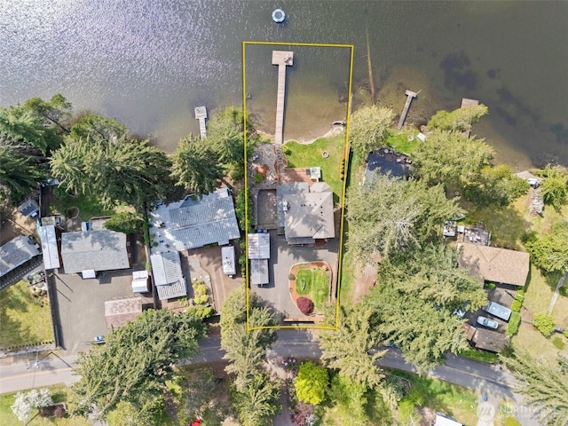 drone / aerial view
