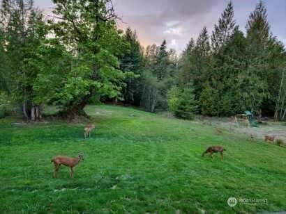 206 Rice Park Rd, Silverlake, WA 98645 - photo 32