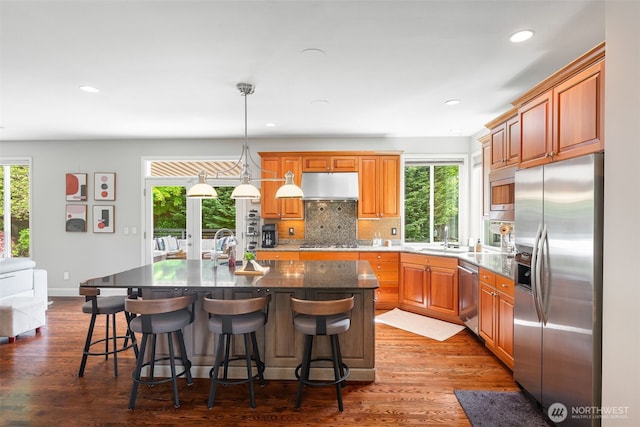 16653 SE 69th Way, Bellevue, WA 98006 - kitchen featuring appliances with stainless steel finishes, plenty of natural light, under cabinet range hood, and recessed lighting
