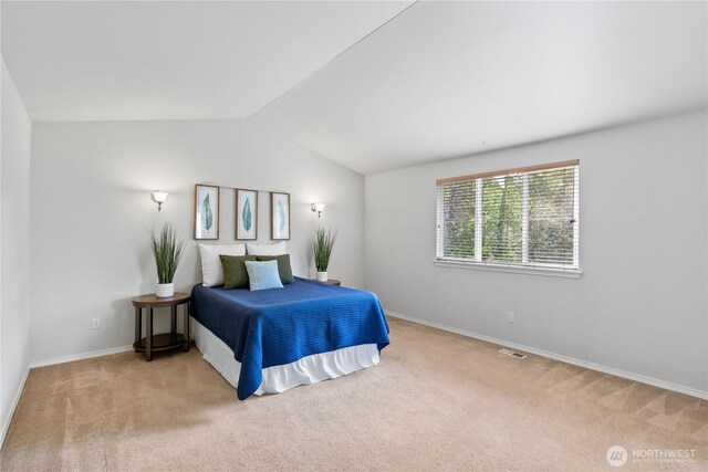710 122nd Avenue Ct E, Edgewood, WA 98372 - bedroom with visible vents, baseboards, carpet, and lofted ceiling