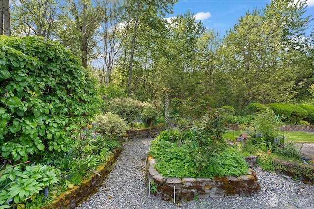 710 122nd Avenue Ct E, Edgewood, WA 98372 - view of yard