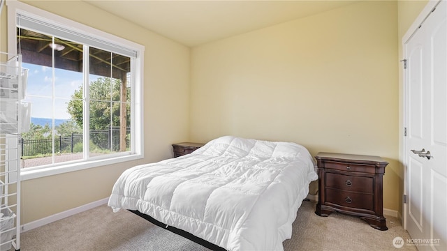 bedroom with carpet flooring, baseboards, and multiple windows