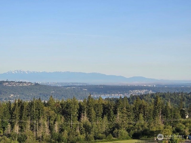view of mountain feature with a view of trees
