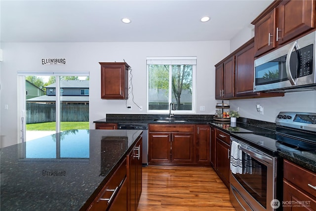 kitchen featuring appliances with stainless steel finishes, plenty of natural light, a sink, and wood finished floors