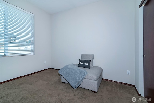 living area with baseboards and carpet