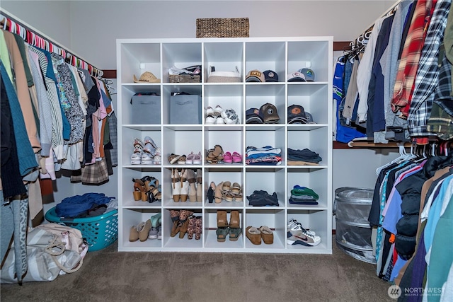 view of walk in closet