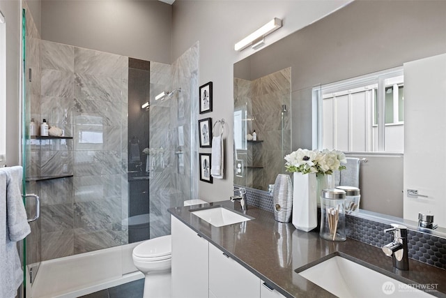 bathroom featuring a sink, a shower stall, and toilet
