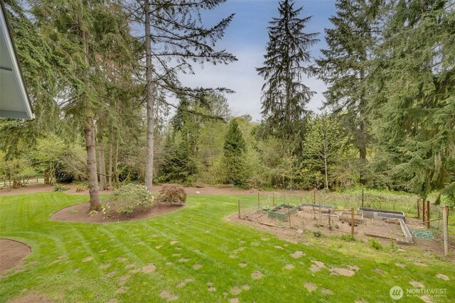 view of yard with a garden