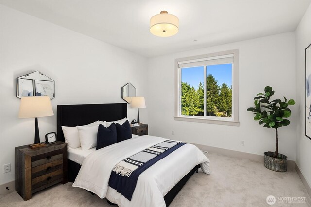 7310 151st Ave NE, Redmond, WA 98052 - photo 29